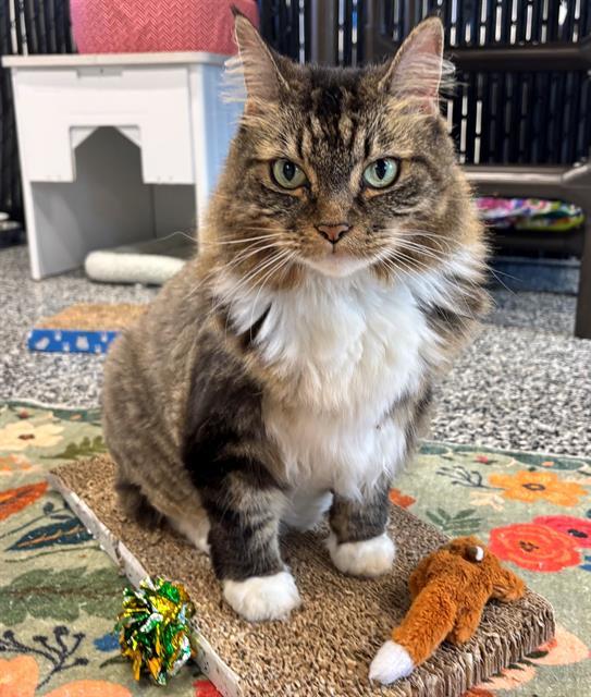 NALA