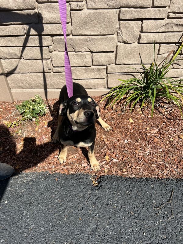 Sasha  Months photo 1