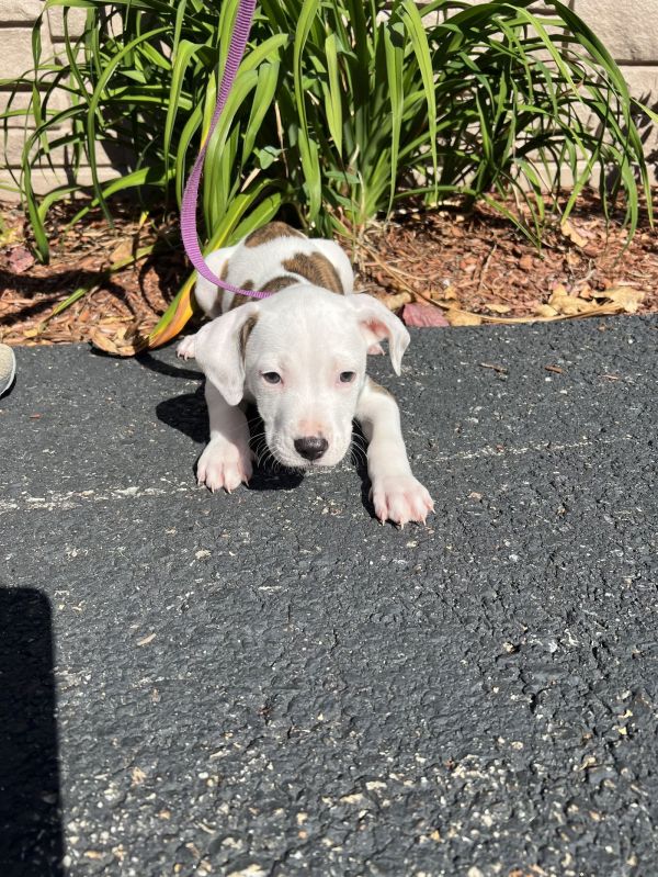 Quaker  Weeks Avail photo 1