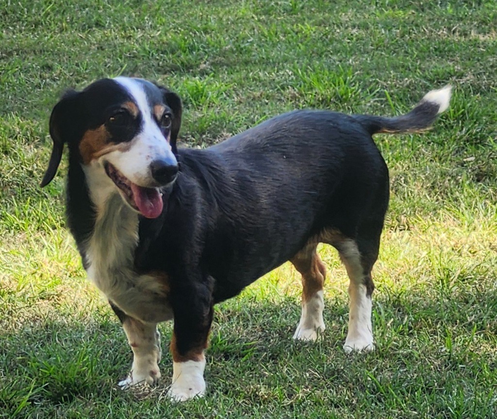 Molly