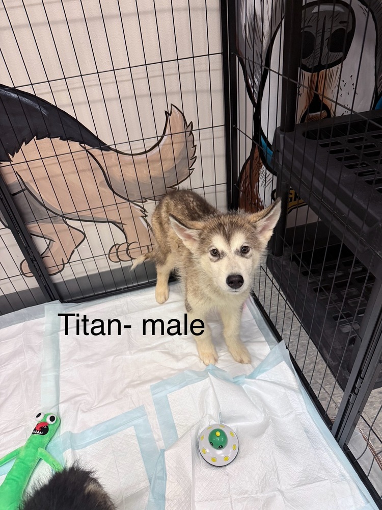 Titan