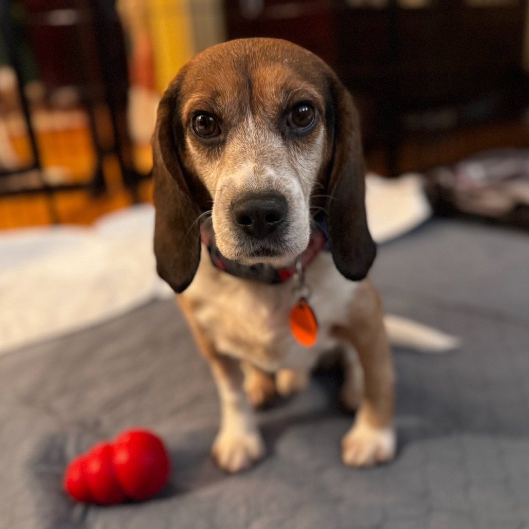 Morgan