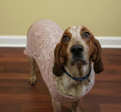 Hank~Sponsored!! SAD STORY:(