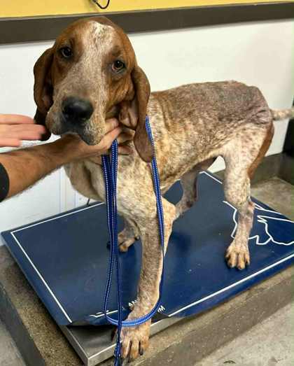 Hank~Sponsored!! SAD STORY:(