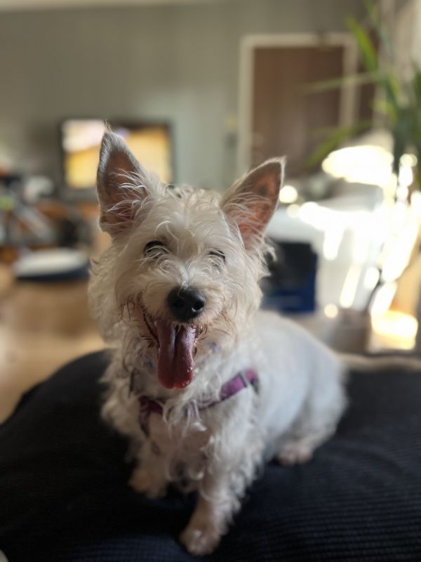Greta