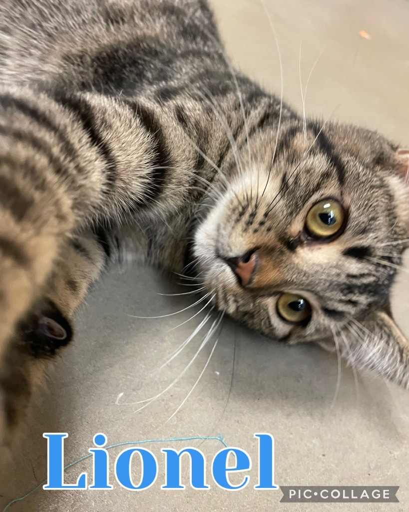 Lionel