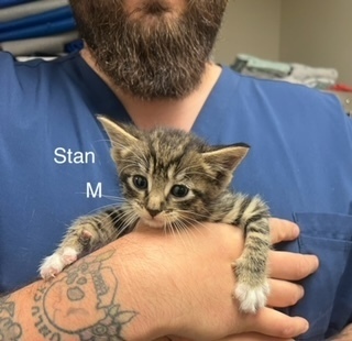 Stan