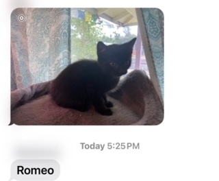 Romeo