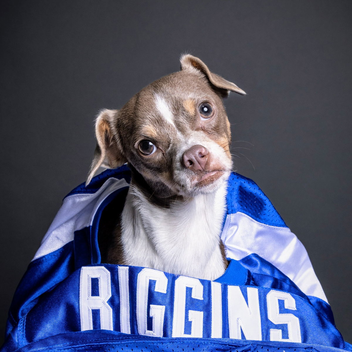 Riggins