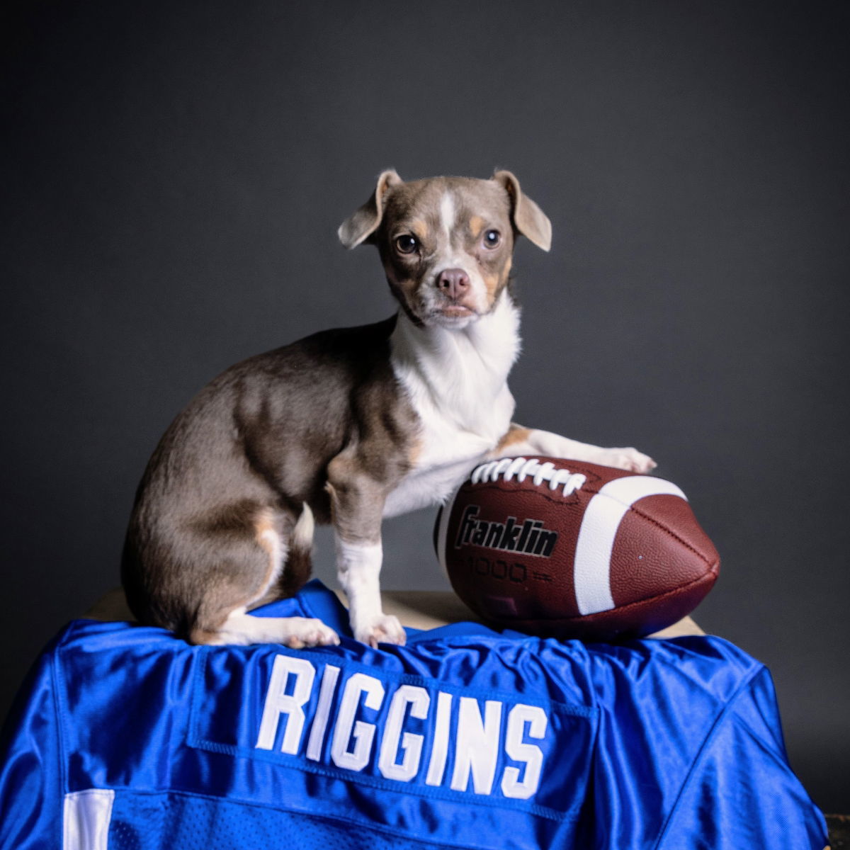 Riggins