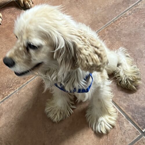 Freddie N thumbnail 2