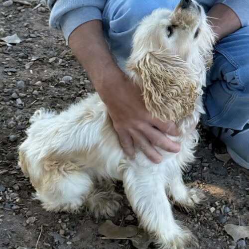 Freddie N thumbnail 3