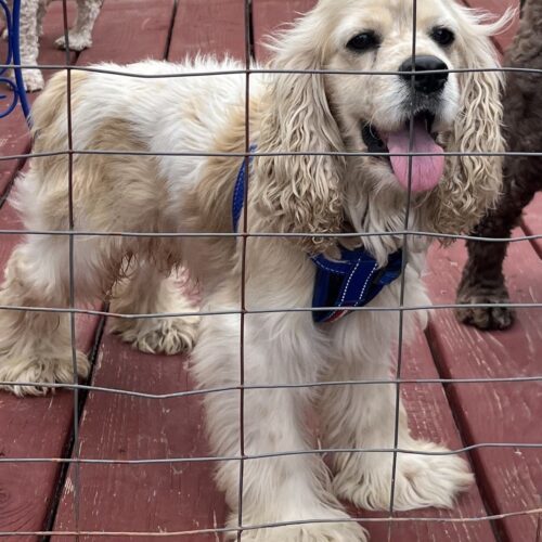 Freddie N thumbnail 4