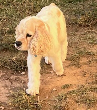 Freddie N thumbnail 5