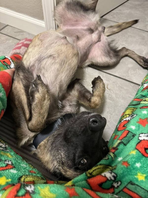 Minka  Located In photo 1