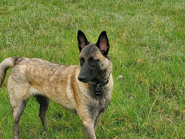 Minka  Located In thumbnail 2