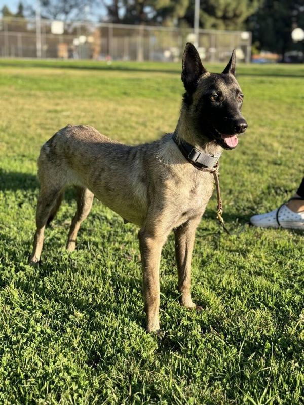 Minka  Located In thumbnail 3