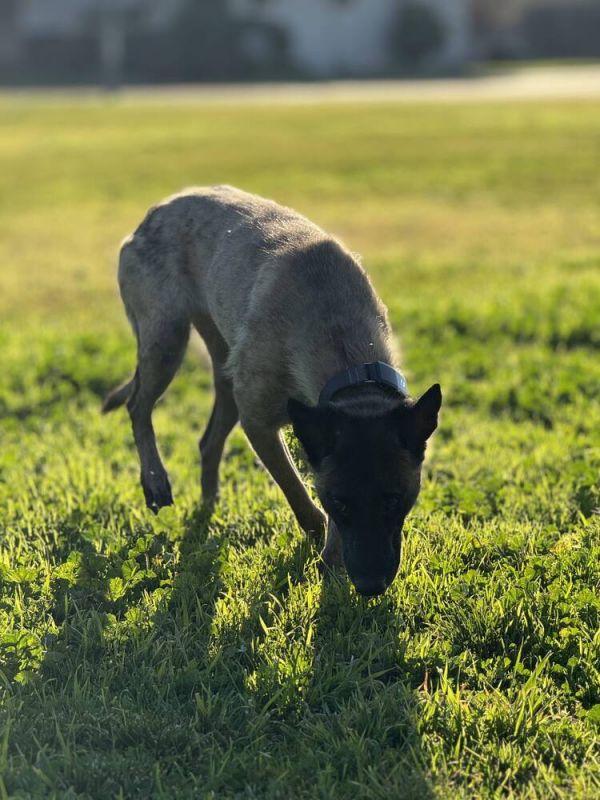 Minka  Located In thumbnail 4