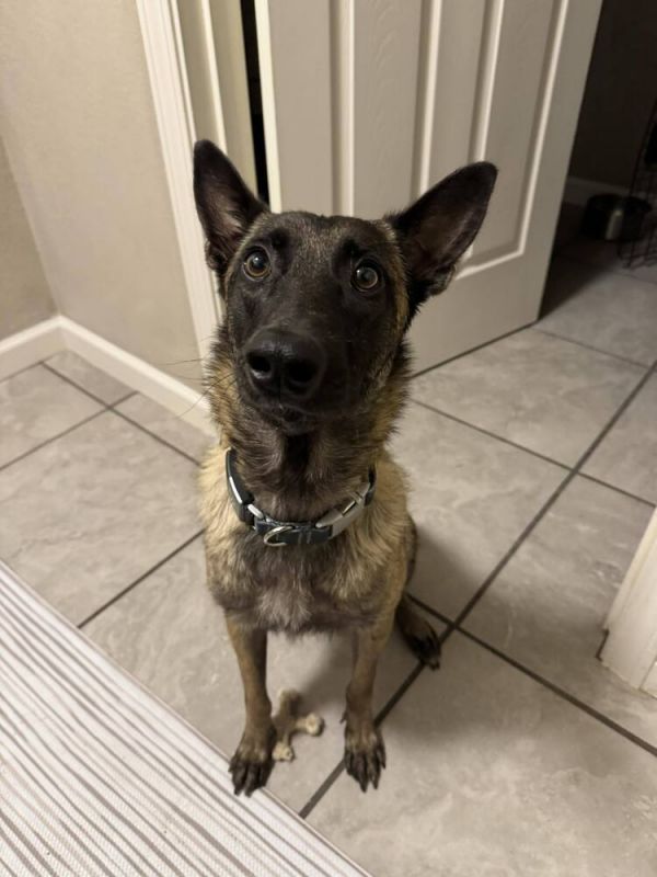 Minka  Located In thumbnail 5