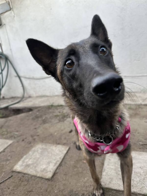 Minka  Located In thumbnail 6