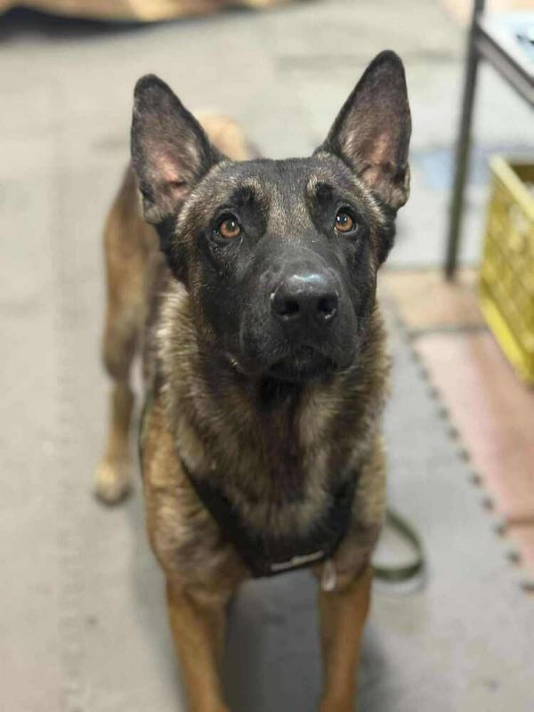 Asher  Located In photo 1