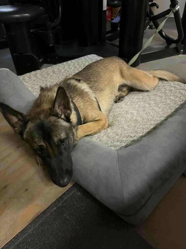 Asher  Located In thumbnail 2