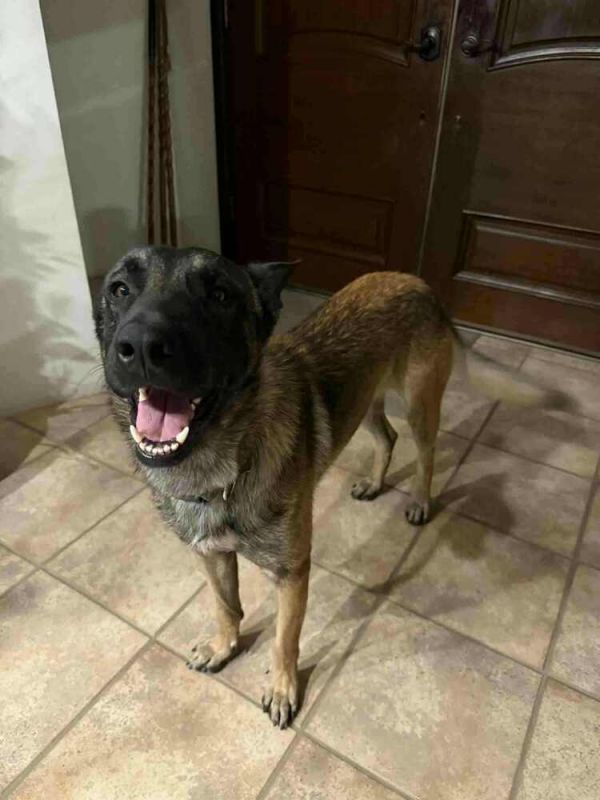 Asher  Located In thumbnail 3