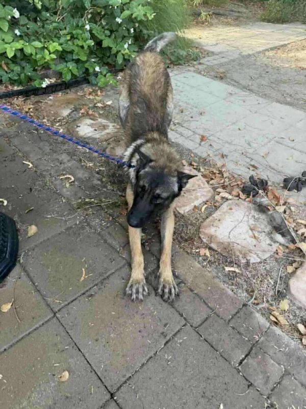 Asher  Located In thumbnail 4