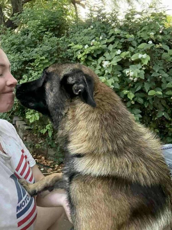 Asher  Located In thumbnail 5