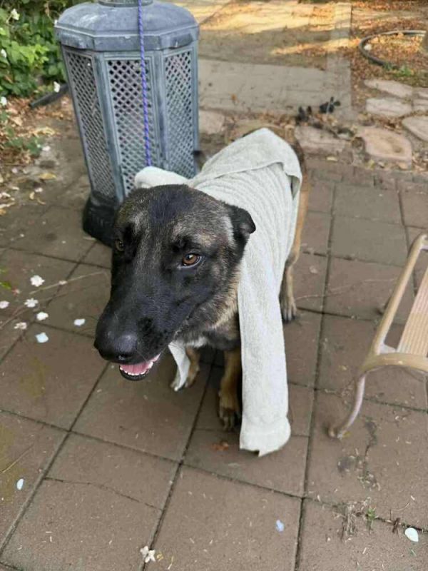 Asher  Located In thumbnail 6