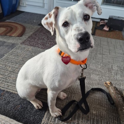Ora (deaf)
