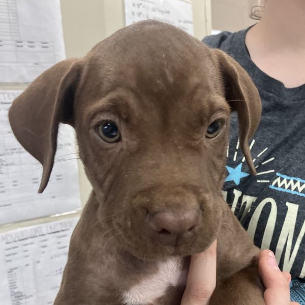 John Deere thumbnail 2