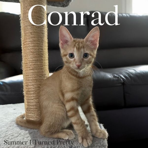 Conrad