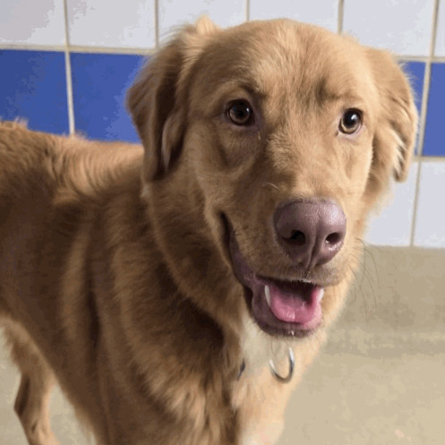 Dr. Jacoby thumbnail 2