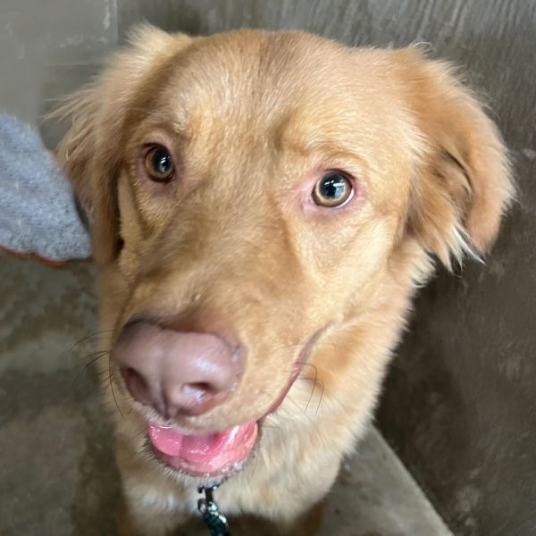 Dr. Jacoby thumbnail 3