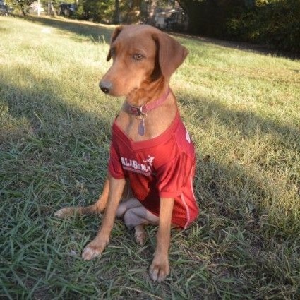 French Fry thumbnail 4