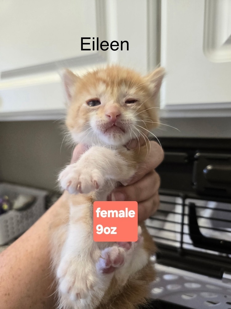 Eileen