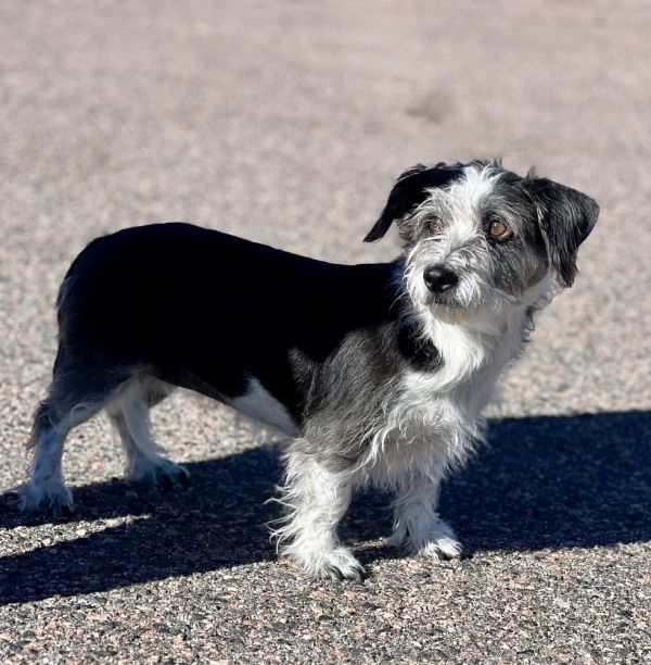 Charlotte thumbnail 2