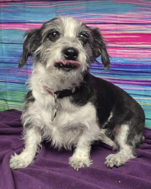 Charlotte thumbnail 3