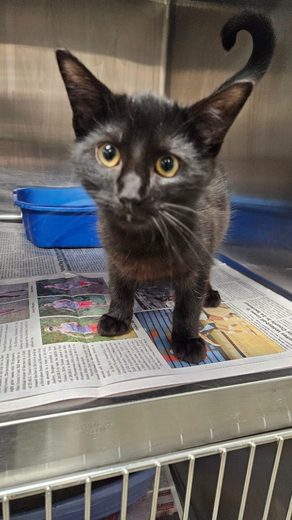 Justice Grove thumbnail 2