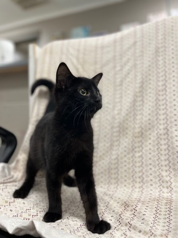 Justice Grove thumbnail 3