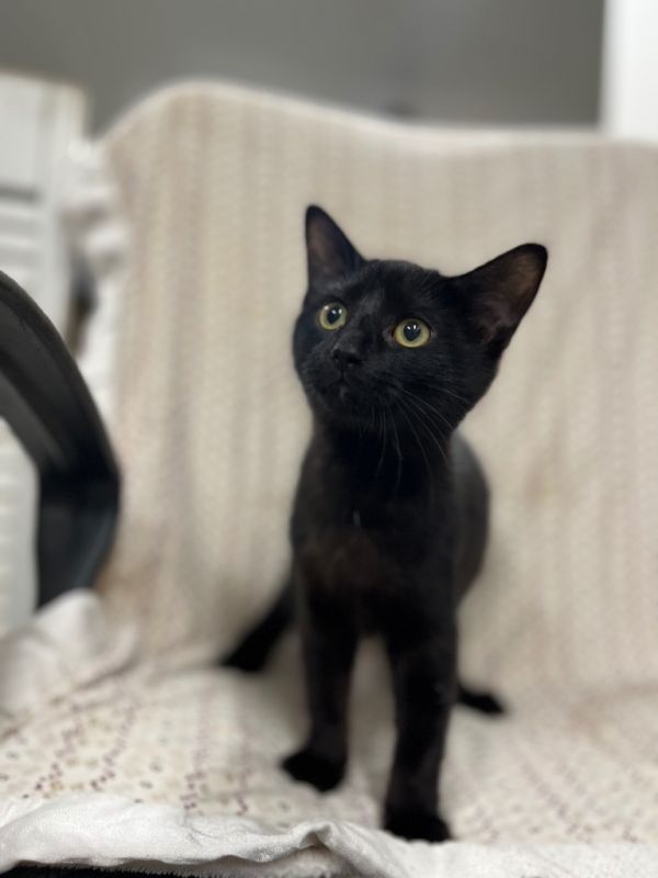 Justice Grove thumbnail 4