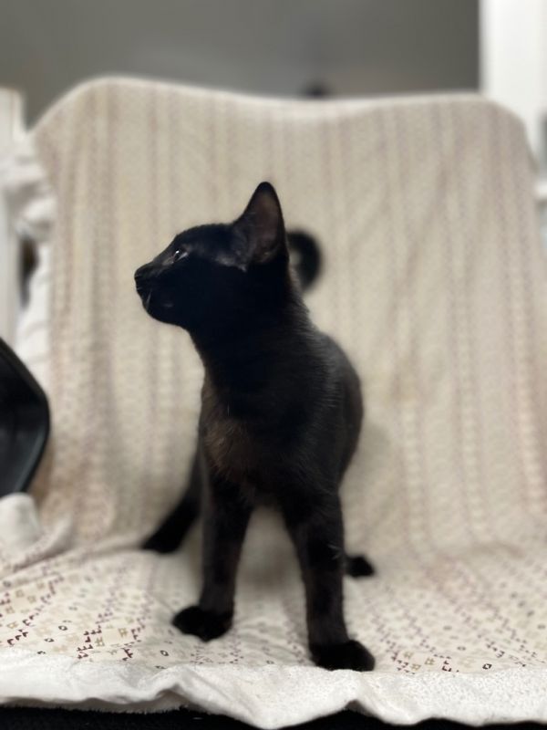 Justice Grove thumbnail 5