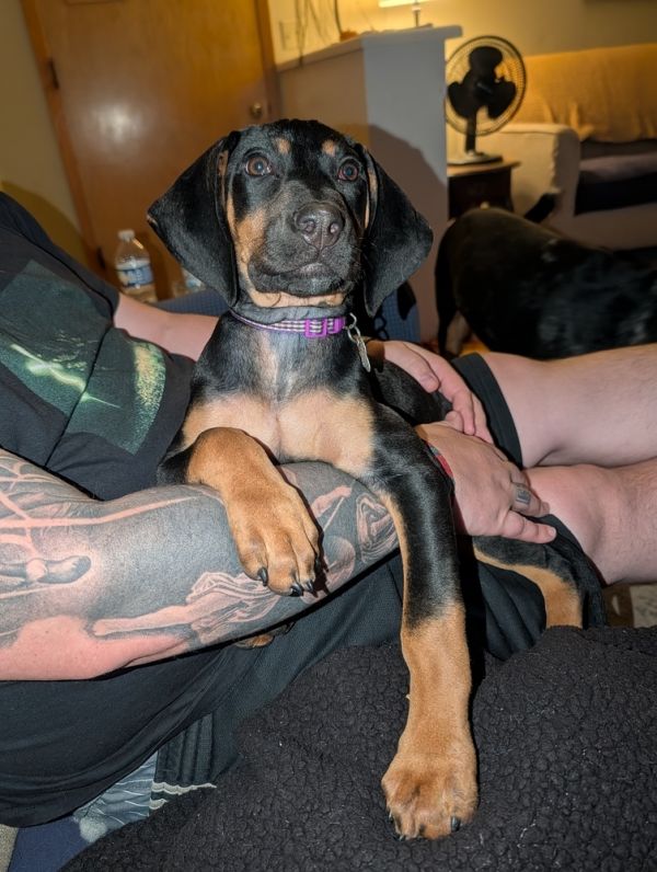 Old Potrero thumbnail 2