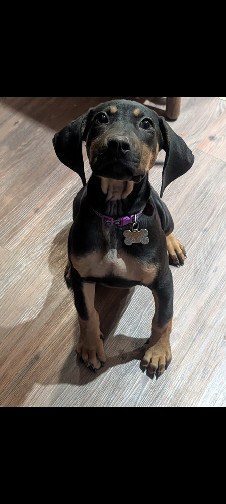 Old Potrero thumbnail 3