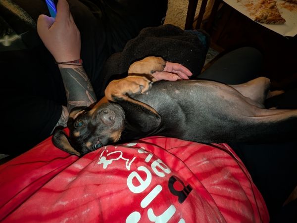 Old Potrero thumbnail 5