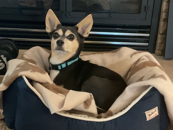 Sally Mae thumbnail 2