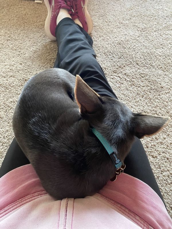 Sally Mae thumbnail 4