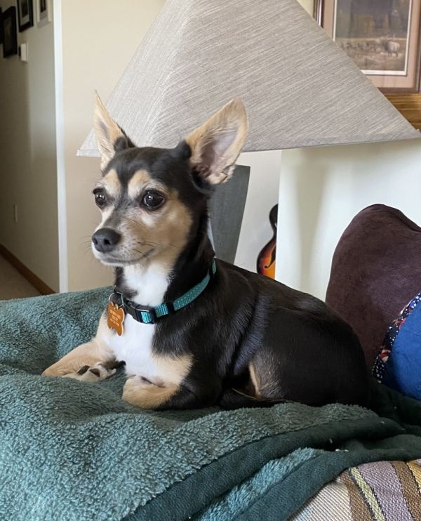 Sally Mae thumbnail 5