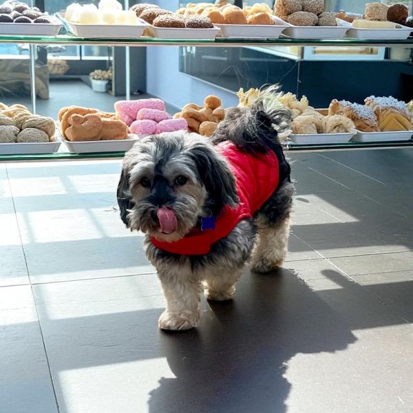 Poppi Colada thumbnail 2